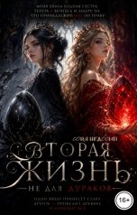 обложка книги Соня Недосып "Вторая жизнь не для дураков"