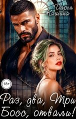 обложка книги Дарья Кашина "Раз, два, три... Босс, отвали!"