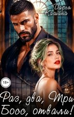 обложка книги Дарья Кашина "Раз, два, три... Босс, отвали!"