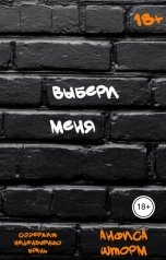 обложка книги Анфиса Шторм "Выбери меня"