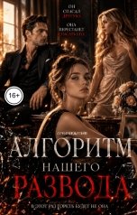 обложка книги Соня Недосып "Алгоритм нашего развода"
