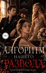 обложка книги Соня Недосып "Алгоритм нашего развода"