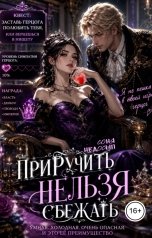 обложка книги Соня Недосып "Приручить нельзя сбежать"
