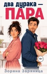 обложка книги Зоряна Заряница "Два дурака - пара"