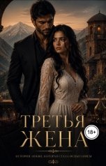 обложка книги Лиля Васнецова "Третья жена"