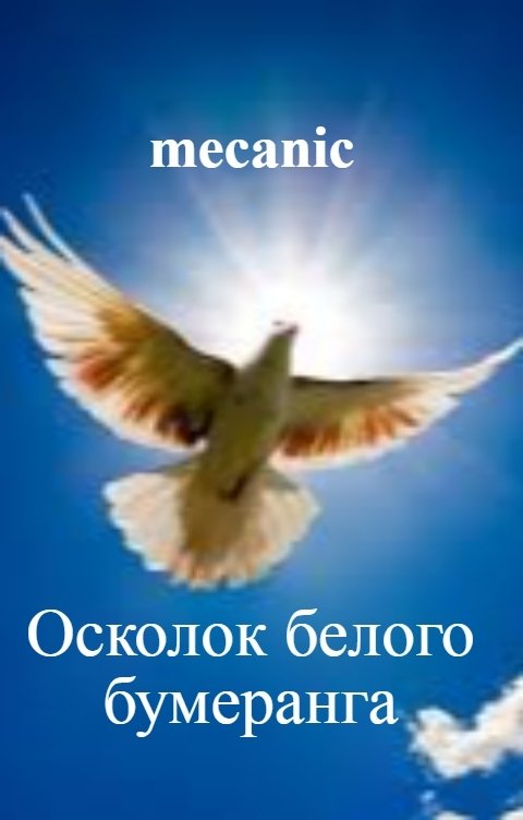 Обложка книги mecanic Осколок белого бумеранга