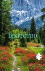 обложка книги Владимир Алексеевич Афутин "Братство"