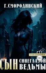 обложка книги Георгий Смородинский "Сын синеглазой ведьмы"