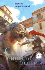 обложка книги Георгий Смородинский "Сын синеглазой ведьмы"