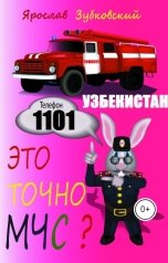 обложка книги baget555 "Это точно МЧС? Узбекистан"