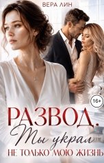 обложка книги Вера Лин "Развод. Ты украл не только мою жизнь"