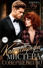 обложка книги Аврора Ред "Катастрофа Мистера Совершенство"
