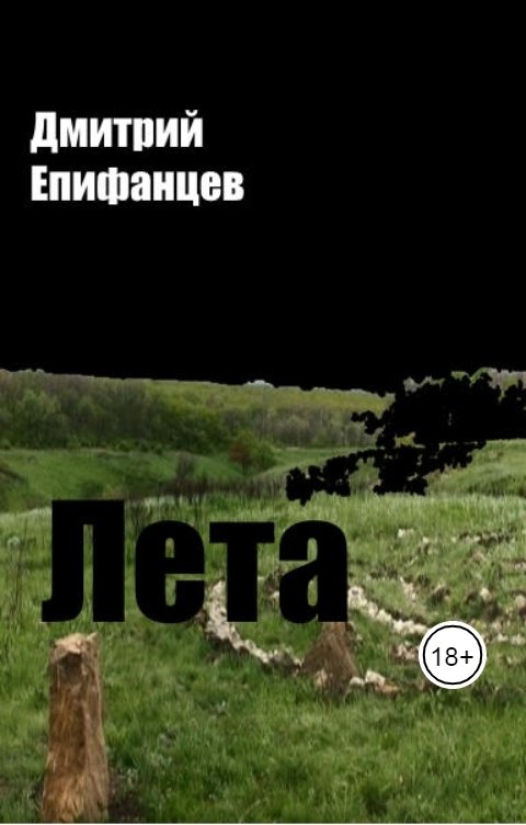 Обложка книги Дмитрий Епифанцев Лета