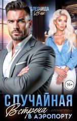 обложка книги Леонида Вик "Случайная встреча в аэропорту"