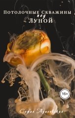 обложка книги София Адаховская "Потолочные Скважины под Луной"
