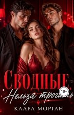 обложка книги Клара Морган "Сводные. Нельзя трогать"