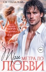 обложка книги Светлана Леви "Три метра до любви"