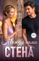 обложка книги Элина Градова "Между нами стена"