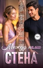 обложка книги Элина Градова "Между нами стена"