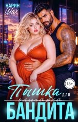 обложка книги Нарин Шах "Пышка для Бандита"