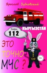 обложка книги baget555 "Это точно МЧС? Кыргызстан"