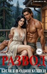 обложка книги Елизавета Ли "Развод. Билет в один конец"