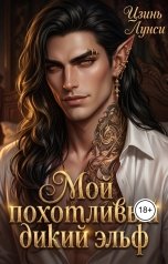 обложка книги Цзинь Лунси "Мой похотливый дикий эльф"