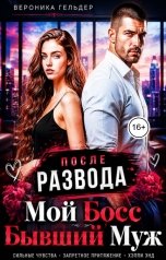 обложка книги Вероника Гельдер "После развода Мой босс - бывший муж"