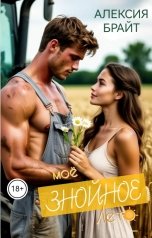 обложка книги Алексия Брайт "Моё знойное лето"