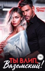 обложка книги Юлия Прим "Ты влип, Вяземский!"