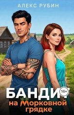 обложка книги Алекс Рубин "Бандит на морковной грядке"