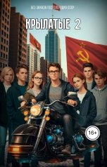 обложка книги Денис Силаев "Крылатые 2. Наверх"