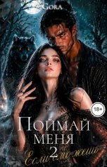 обложка книги Gora "Поймай меня, если сможешь 2"