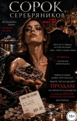 обложка книги Соня Недосып "Сорок серебряников"