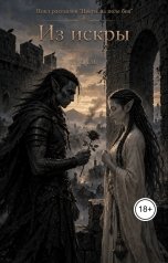 обложка книги Нина М "Из искры"