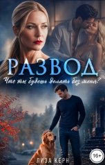 обложка книги Лиза Керн "Развод. Что ты будешь делать без меня?"
