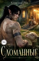 обложка книги Камелия Рав "Сломанные"