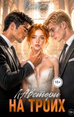обложка книги Ван Лав "Лавстори на троих"