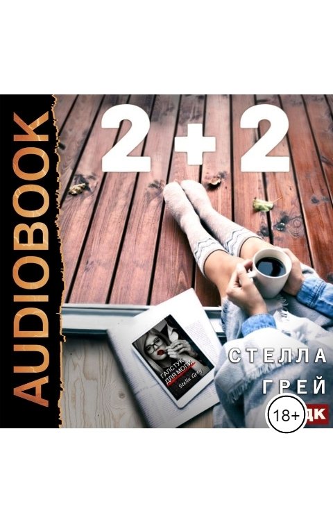 Обложка книги ИДДК 2+2