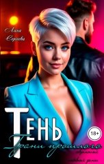 обложка книги Лана Сергеева "Тень. Грани прошлого."