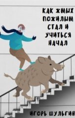 обложка книги Igor Shulgin "Как Жмых пожилым стал и учиться начал"