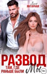 обложка книги Лика Янтарная "Развод. Там, где раньше были Мы!"