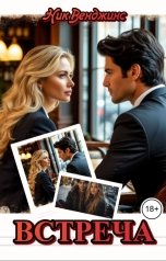 обложка книги Ник Венджинс "Встреча"