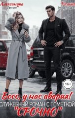 обложка книги Александра Летняя, Римма Кульгильдина "Босс, у нас авария! Служебный роман с пометкой "Срочно!""