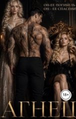 обложка книги Ирина "Агнец"