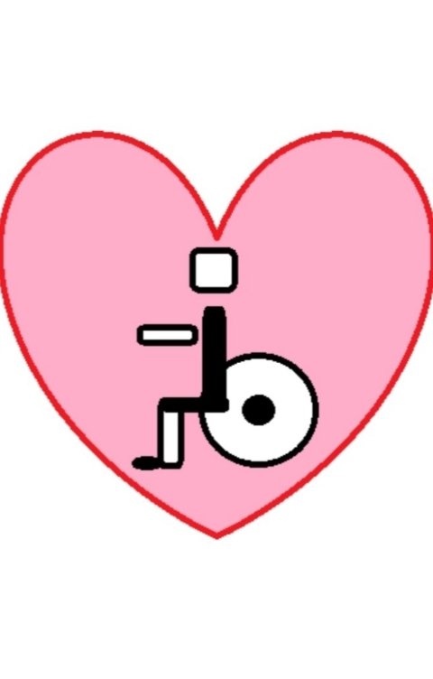 Обложка книги Данила Любовь на колёсах