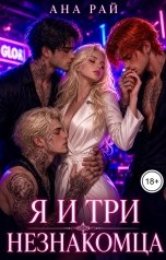 обложка книги Ана Рай "Я и три незнакомца"