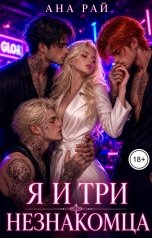 обложка книги Ана Рай "Я и три незнакомца"