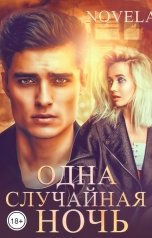 обложка книги Novela "Одна случайная ночь"