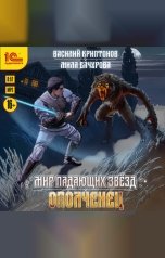 обложка книги Василий Криптонов, Мила Бачурова "Мир падающих звезд. Ополченец"
